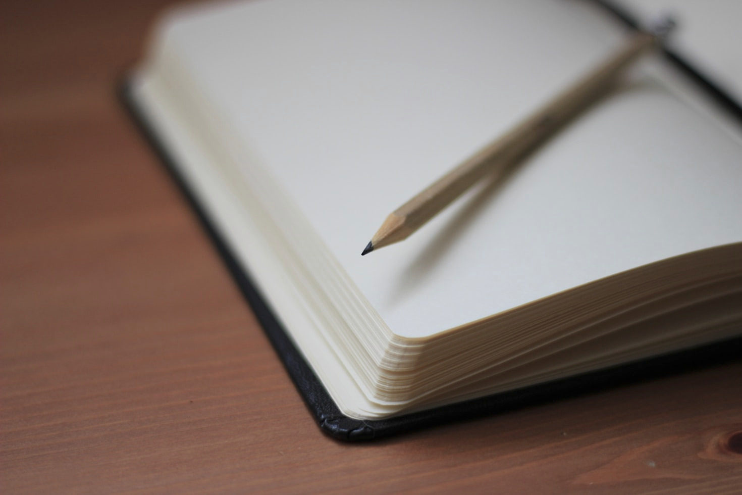 Unique Perspectives on Topics That Shape Our Lives